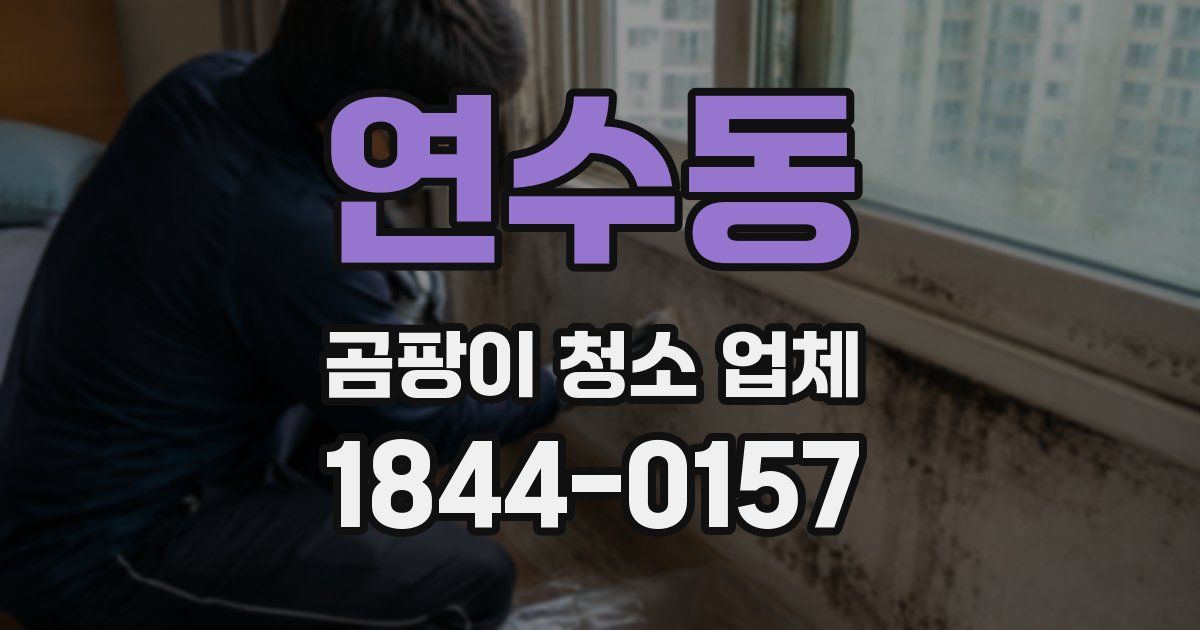 연수동 곰팡이 청소 업체
