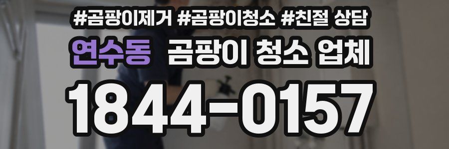 연수동 곰팡이 청소 업체