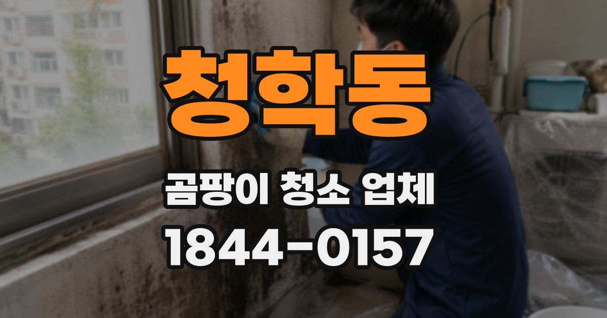 청학동 곰팡이 청소 업체