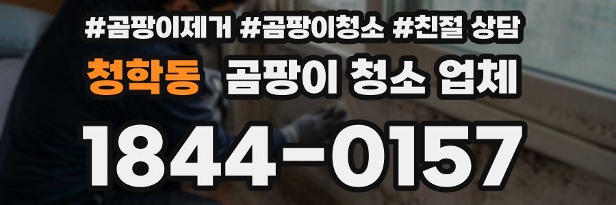 청학동 곰팡이 청소 업체