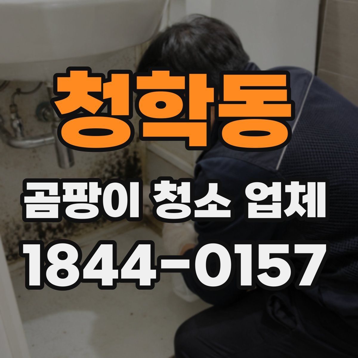 청학동 곰팡이 청소 업체