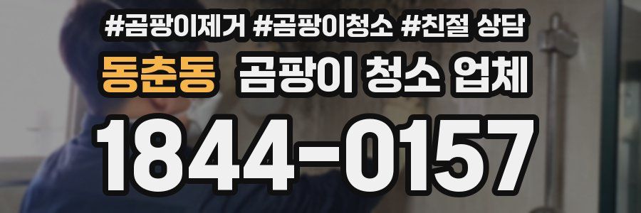 동춘동 곰팡이 청소 업체