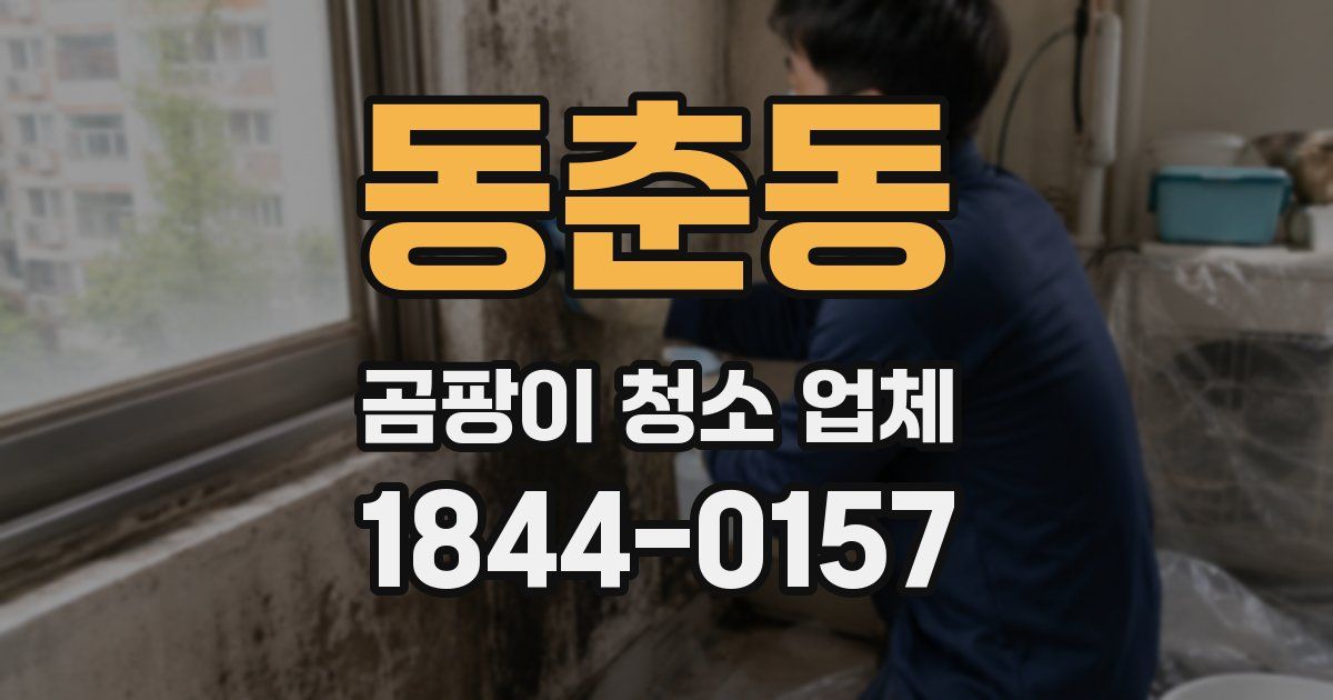 동춘동 곰팡이 청소 업체