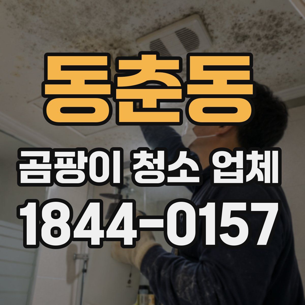 동춘동 곰팡이 청소 업체