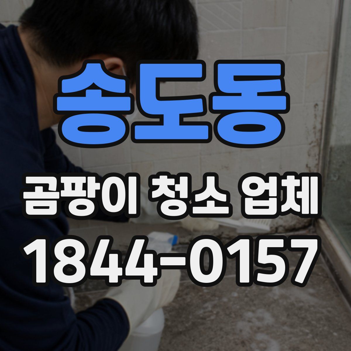 송도동 곰팡이 청소 업체