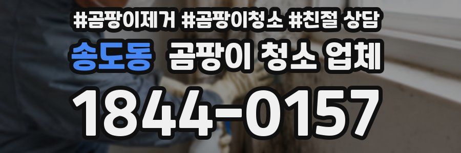 송도동 곰팡이 청소 업체