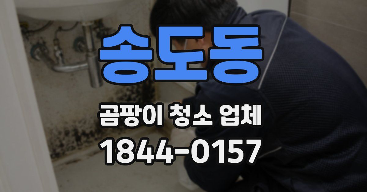 송도동 곰팡이 청소 업체