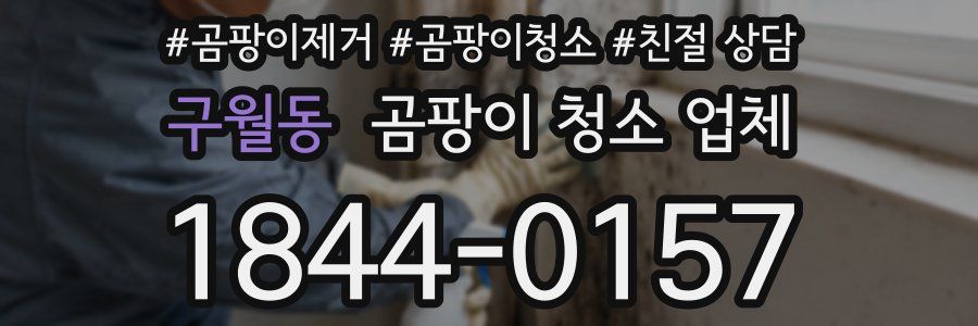 구월동 곰팡이 청소 업체
