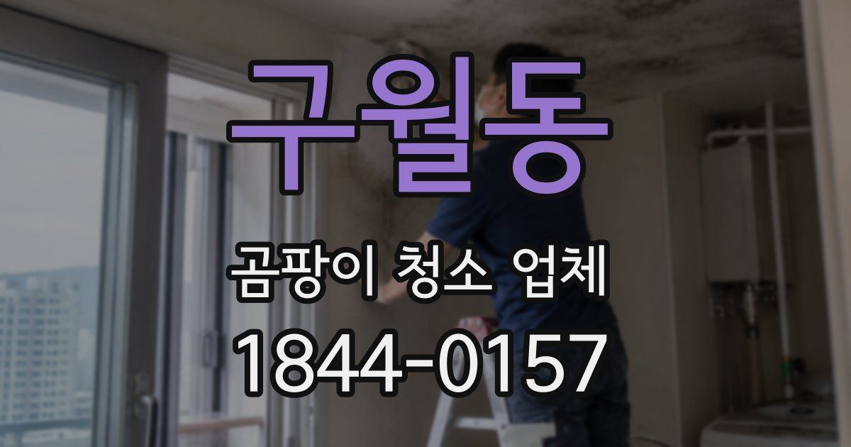 구월동 곰팡이 청소 업체