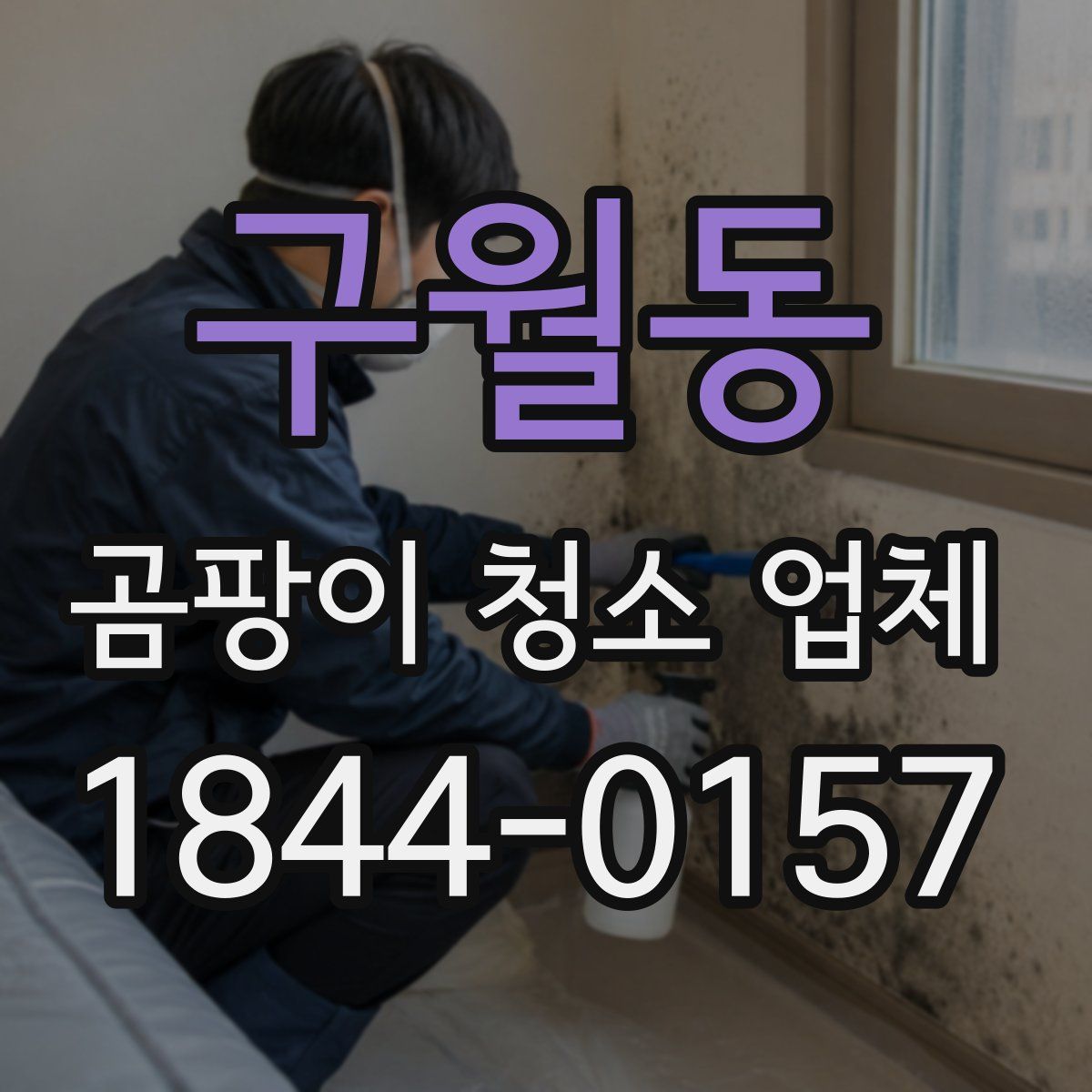 구월동 곰팡이 청소 업체