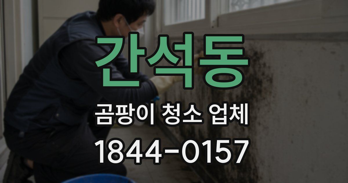 간석동 곰팡이 청소 업체