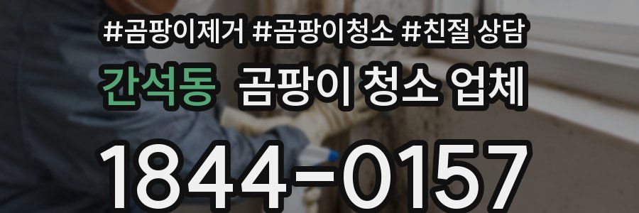 간석동 곰팡이 청소 업체