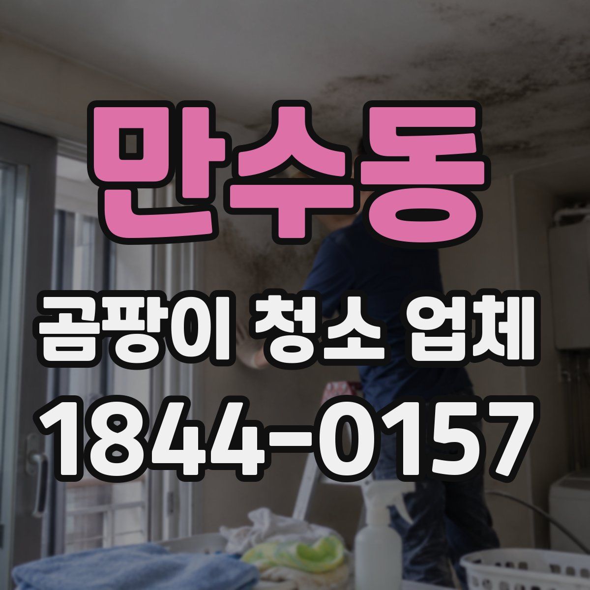 만수동 곰팡이 청소 업체