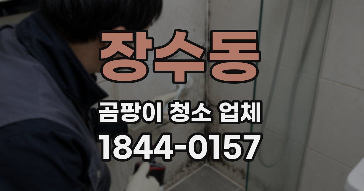 장수동 곰팡이 청소 업체