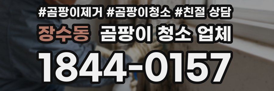 장수동 곰팡이 청소 업체