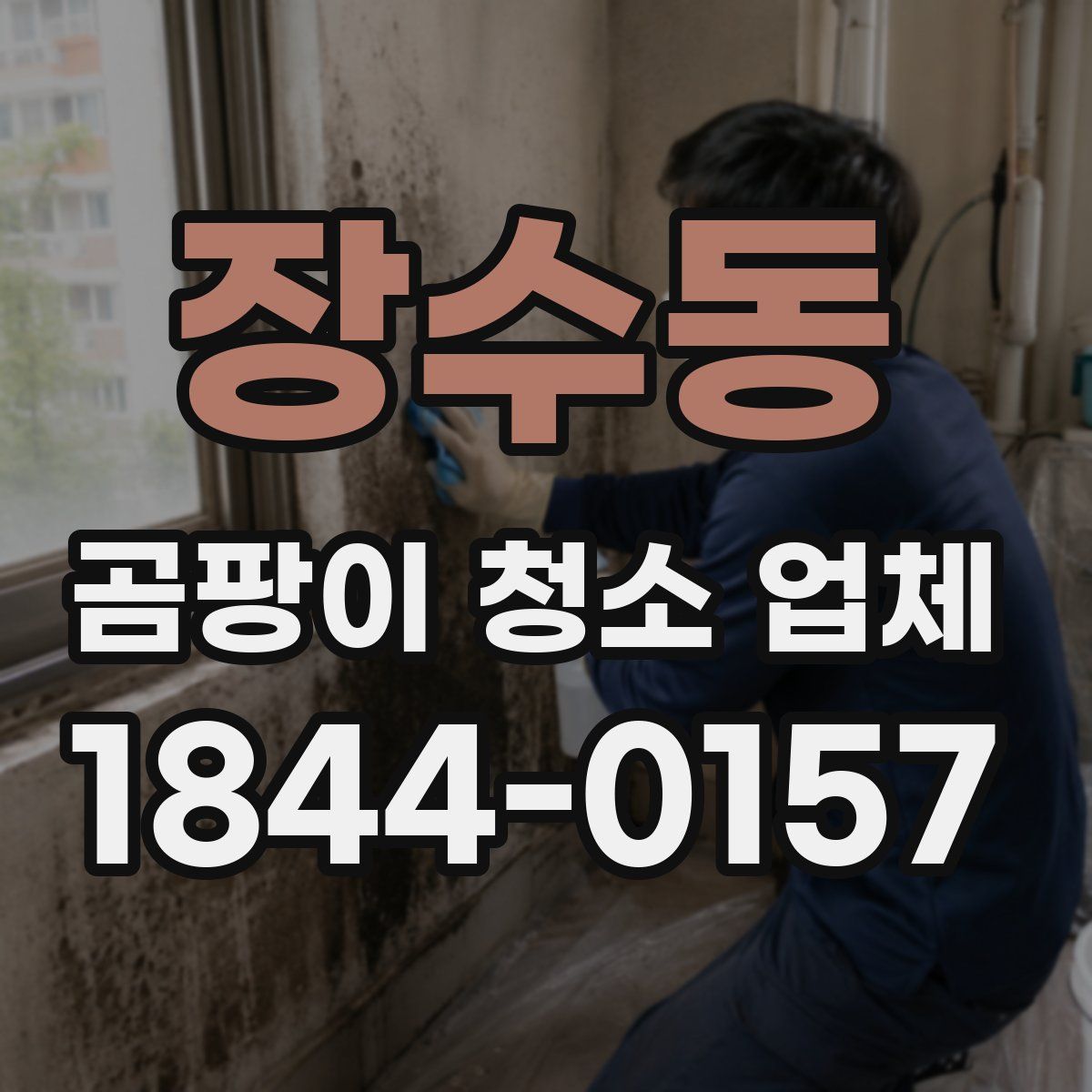 장수동 곰팡이 청소 업체