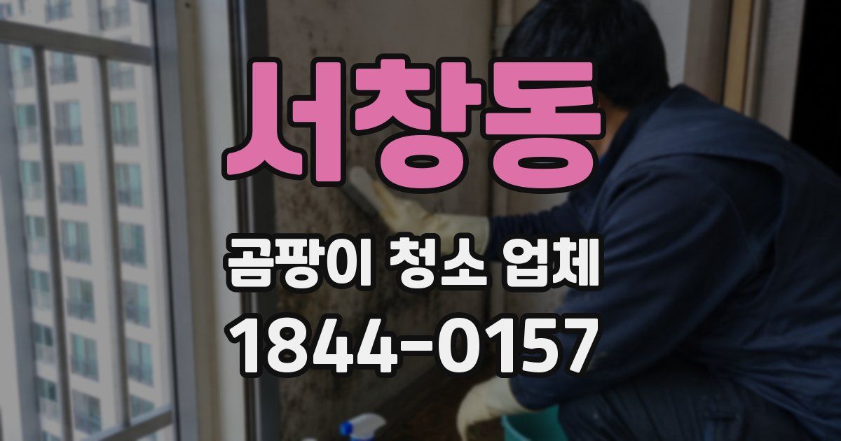 서창동 곰팡이 청소 업체