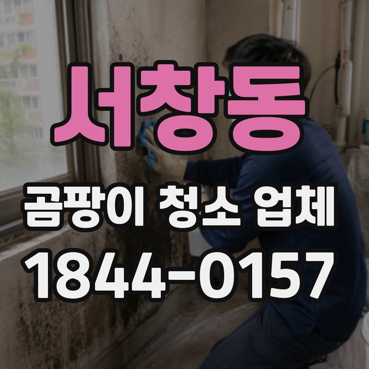 서창동 곰팡이 청소 업체