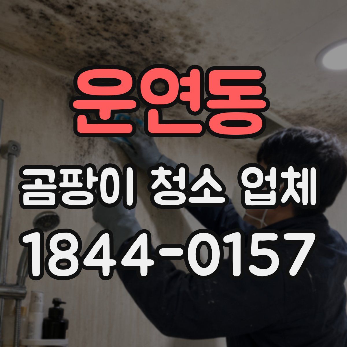 운연동 곰팡이 청소 업체