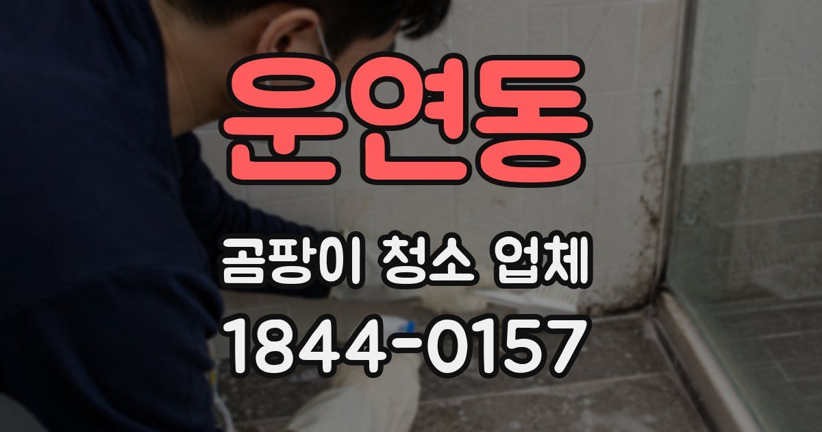 운연동 곰팡이 청소 업체