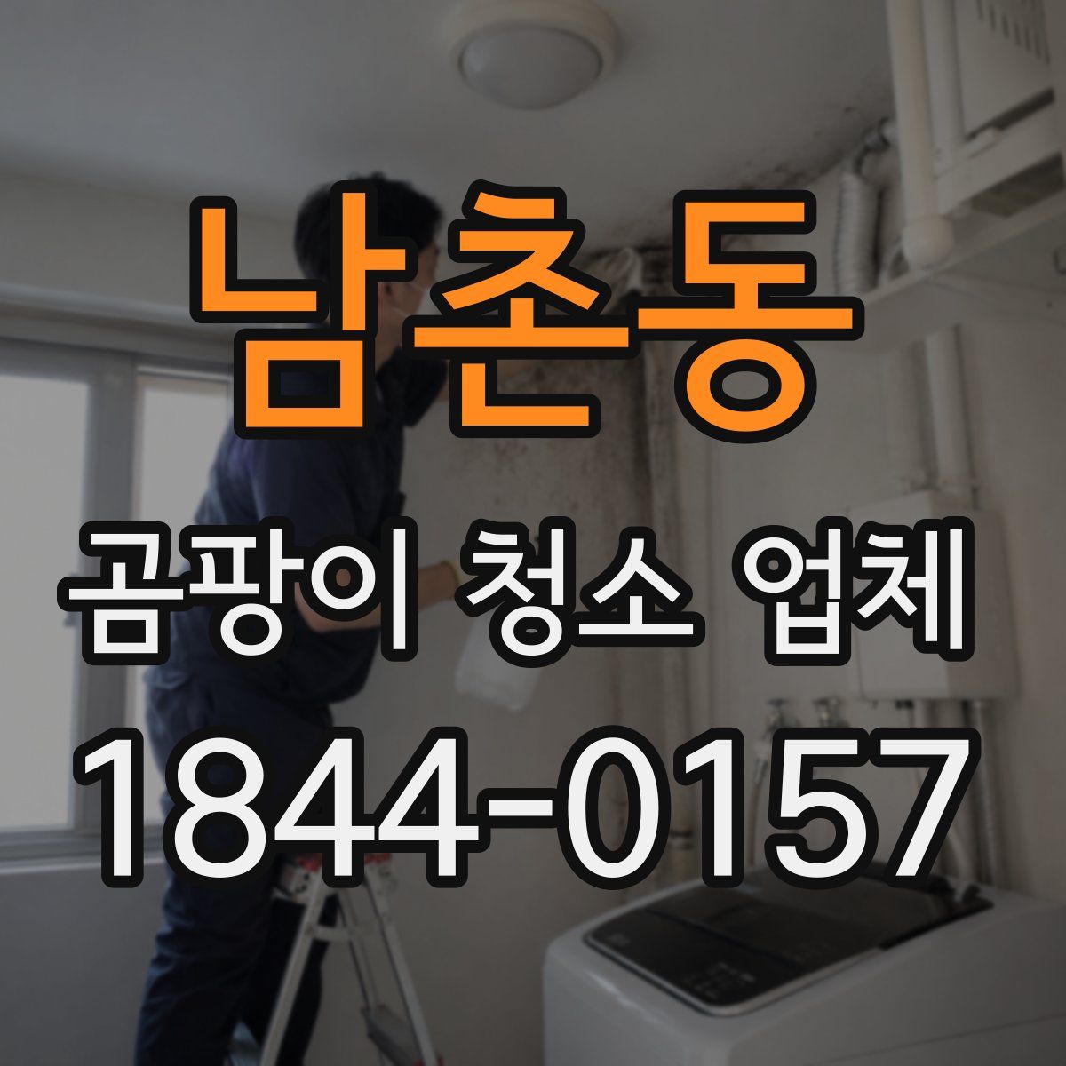 남촌동 곰팡이 청소 업체