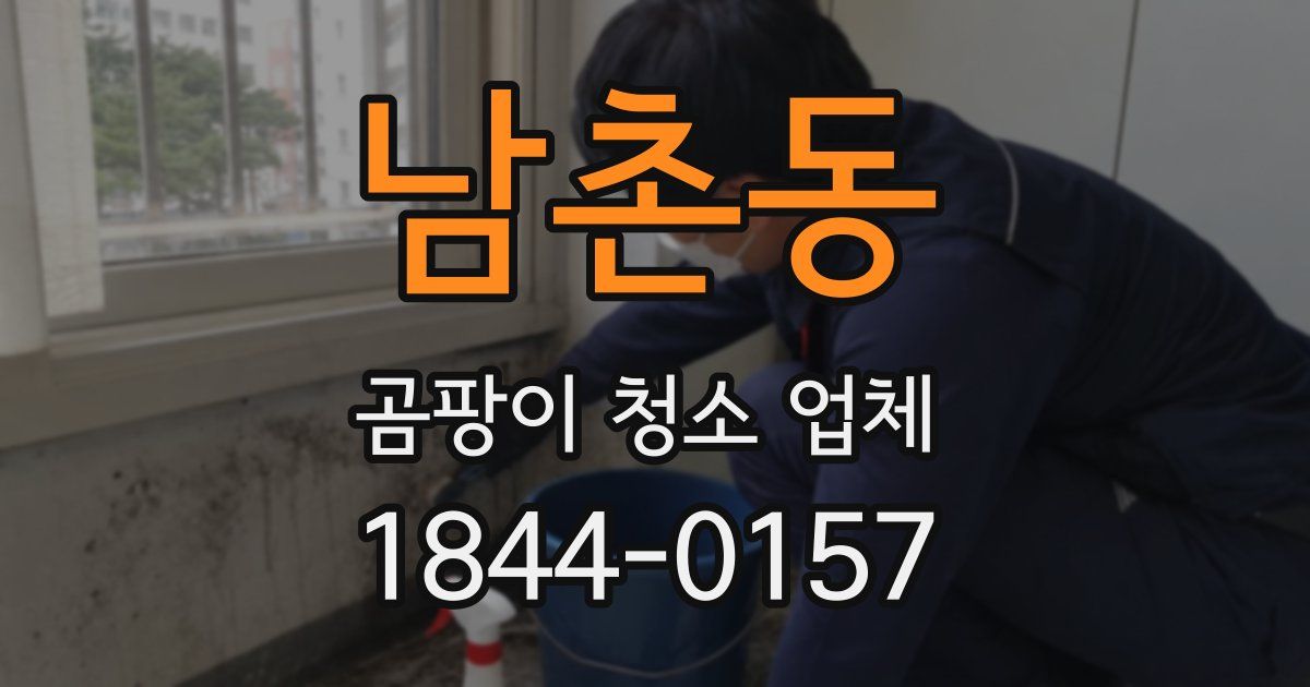 남촌동 곰팡이 청소 업체