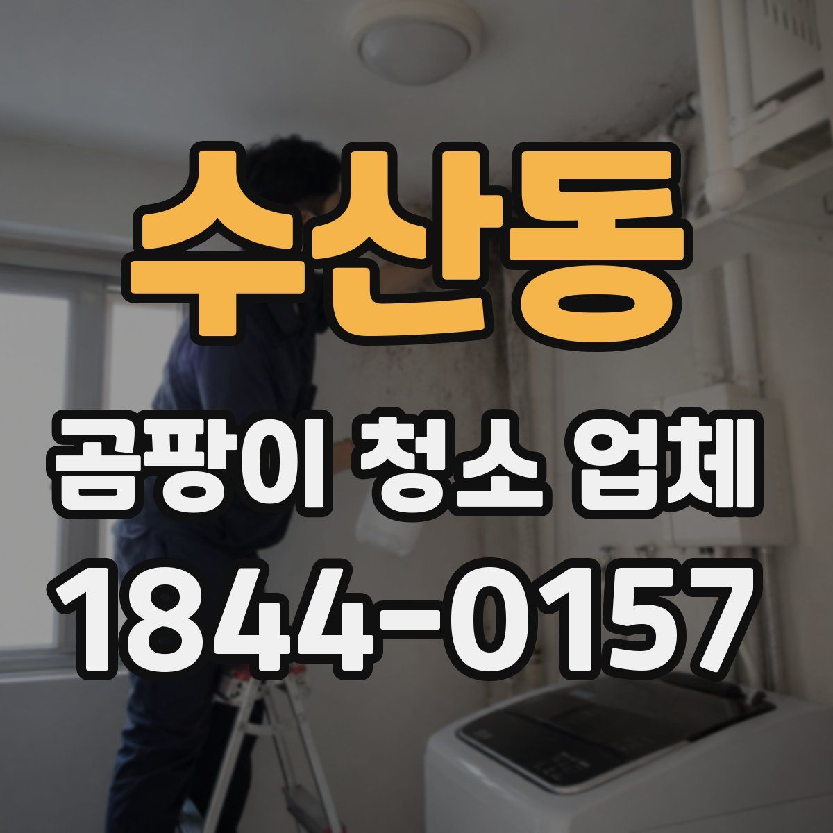 수산동 곰팡이 청소 업체