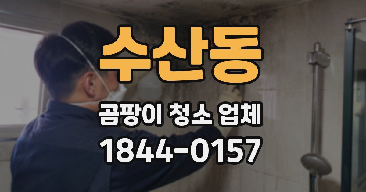 수산동 곰팡이 청소 업체