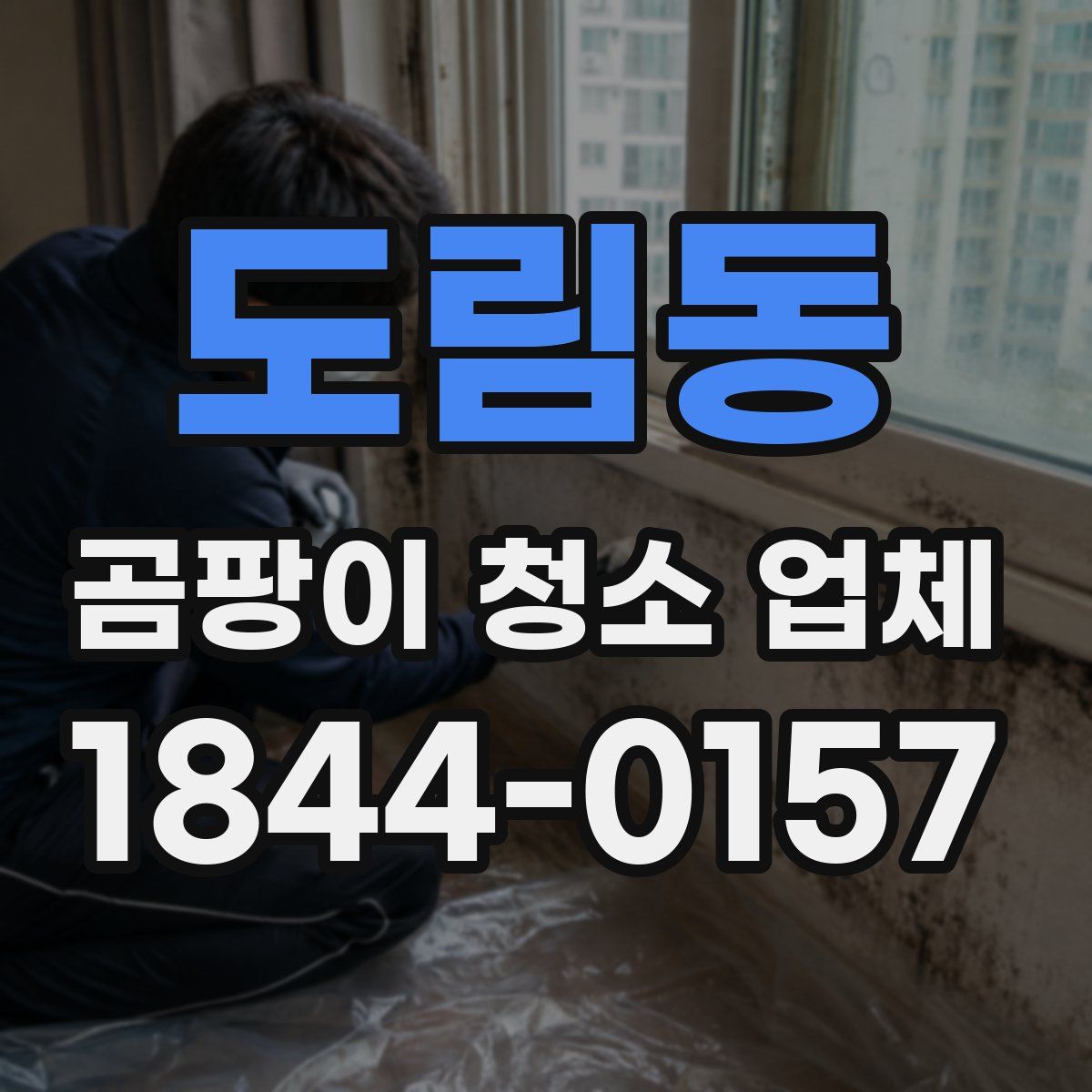 도림동 곰팡이 청소 업체