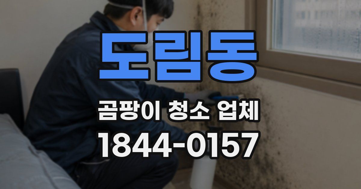 도림동 곰팡이 청소 업체