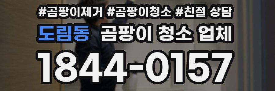 도림동 곰팡이 청소 업체
