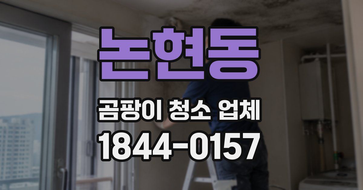논현동 곰팡이 청소 업체