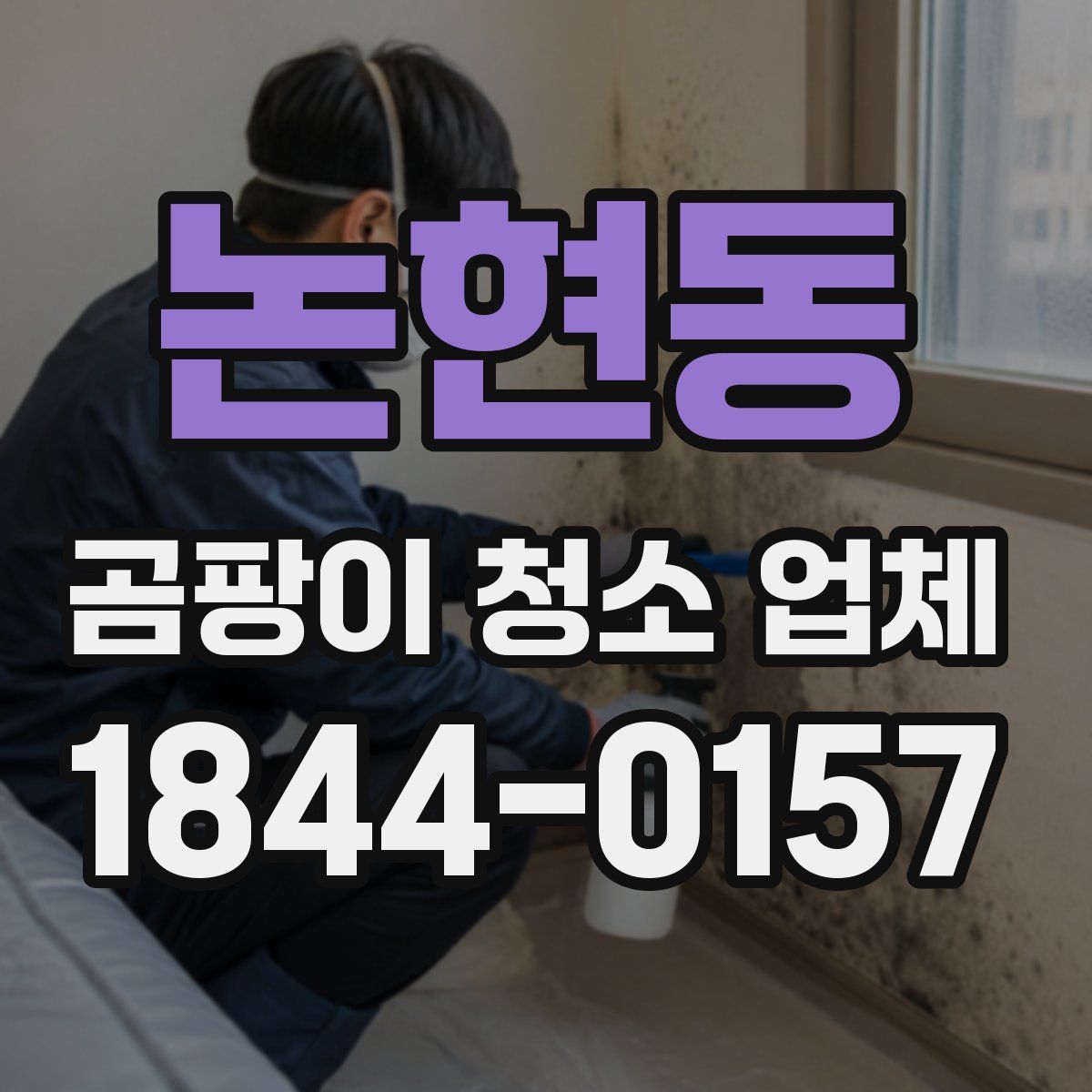 논현동 곰팡이 청소 업체
