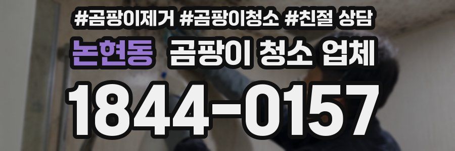 논현동 곰팡이 청소 업체