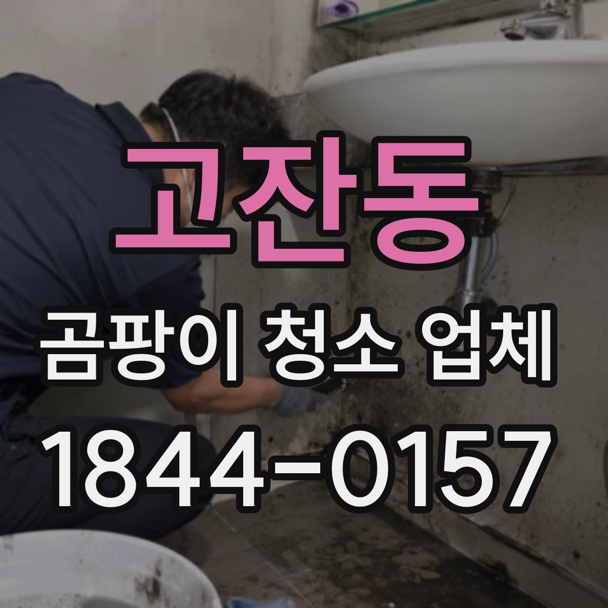 고잔동 곰팡이 청소 업체