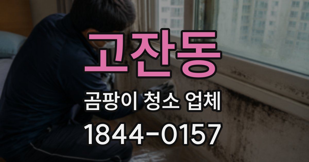 고잔동 곰팡이 청소 업체