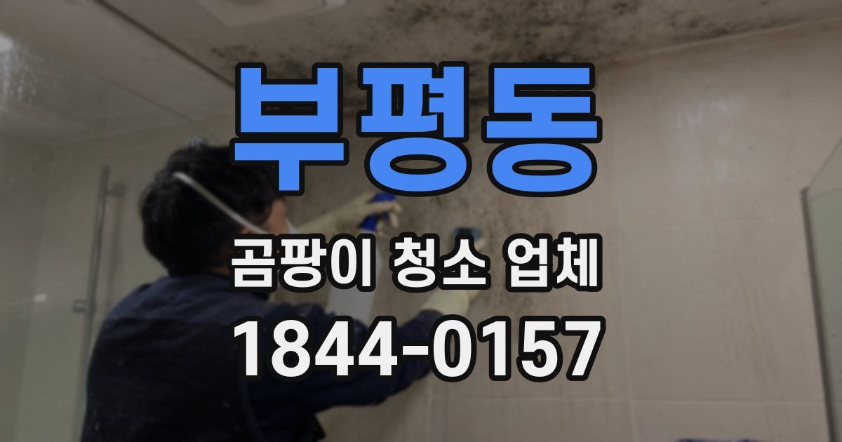 부평동 곰팡이 청소 업체