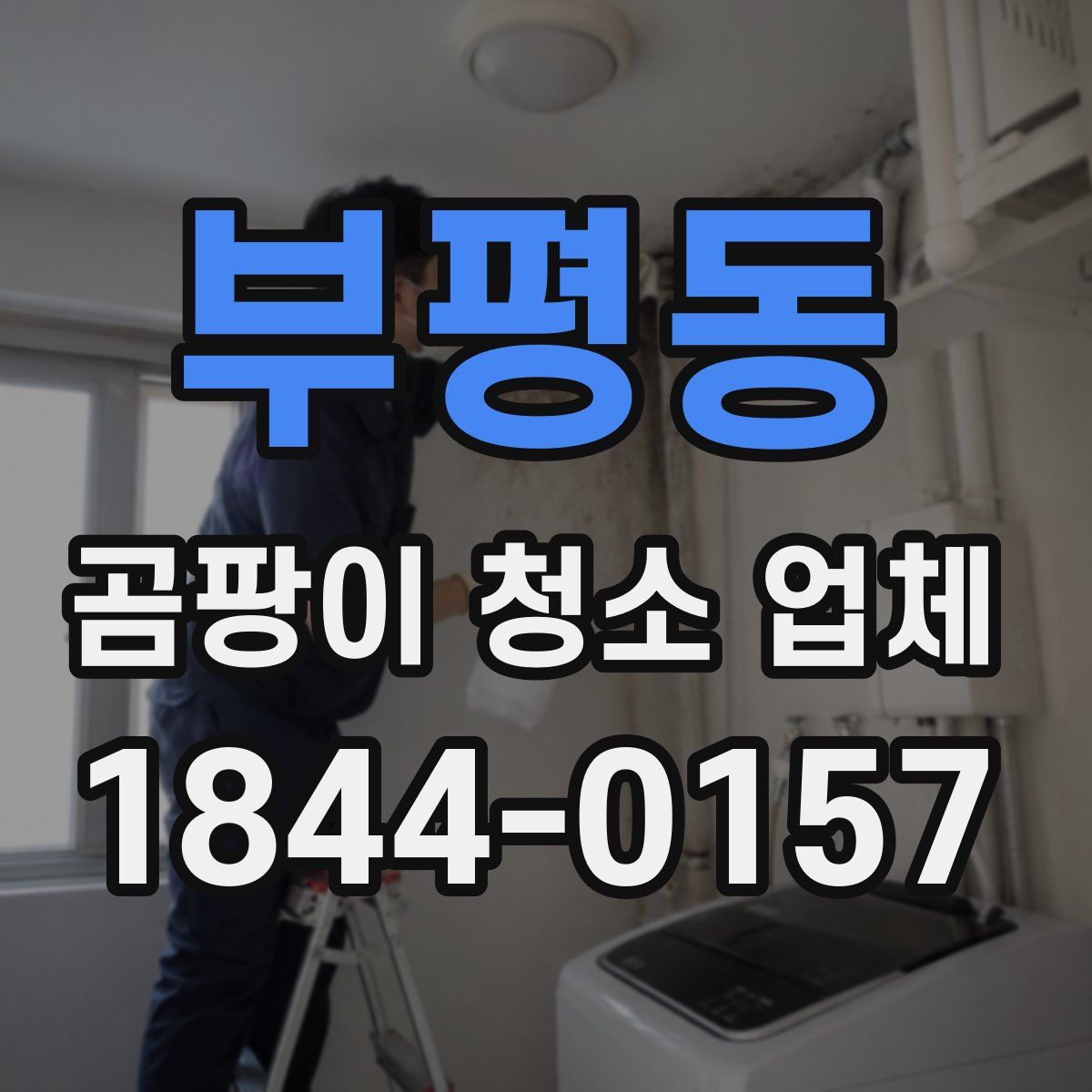 부평동 곰팡이 청소 업체