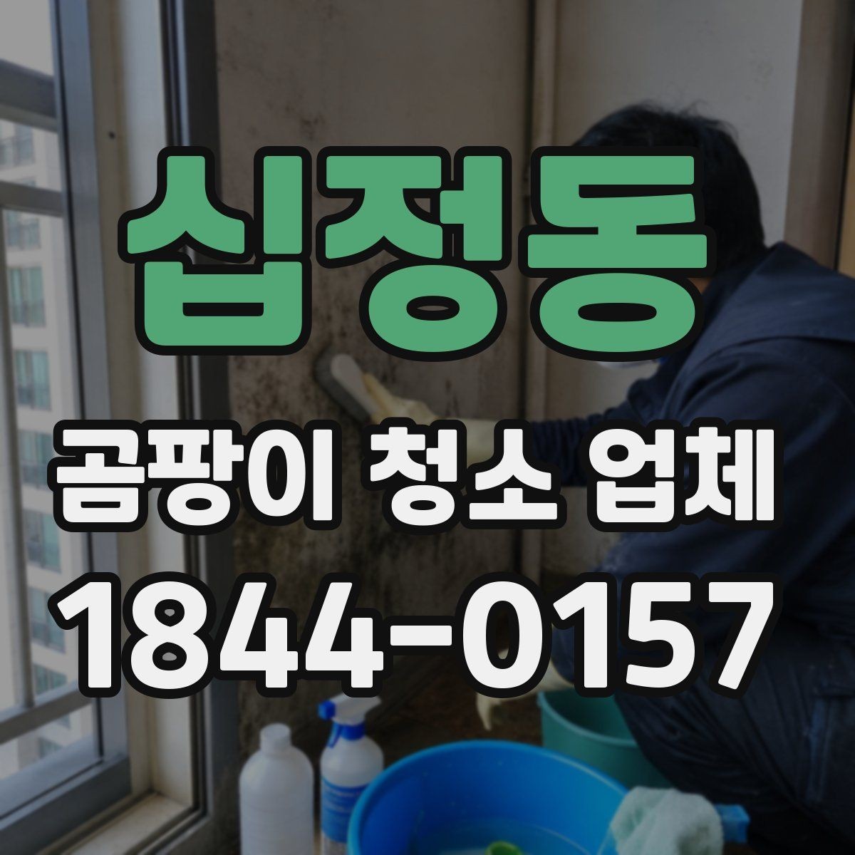 십정동 곰팡이 청소 업체 예약할 때 확인할 일정 정보