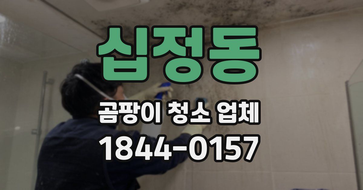 십정동 곰팡이 청소 업체