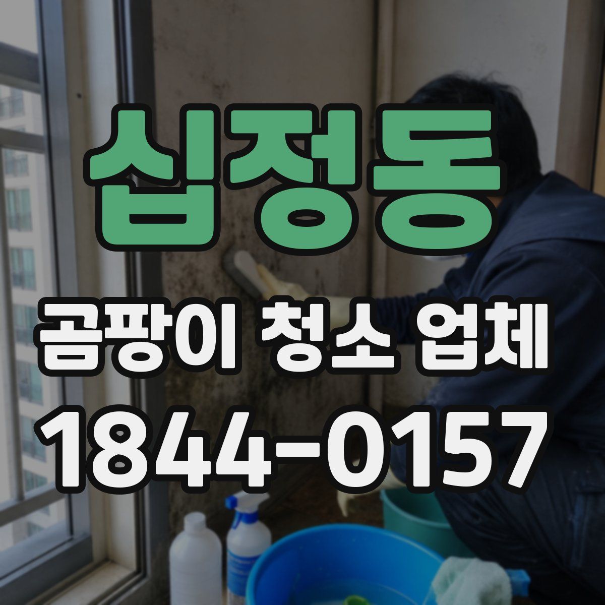 십정동 곰팡이 청소 업체