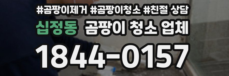 십정동 곰팡이 청소 업체