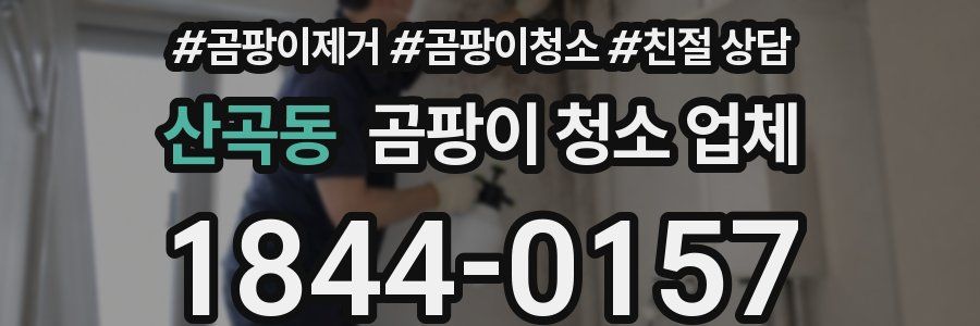 산곡동 곰팡이 청소 업체