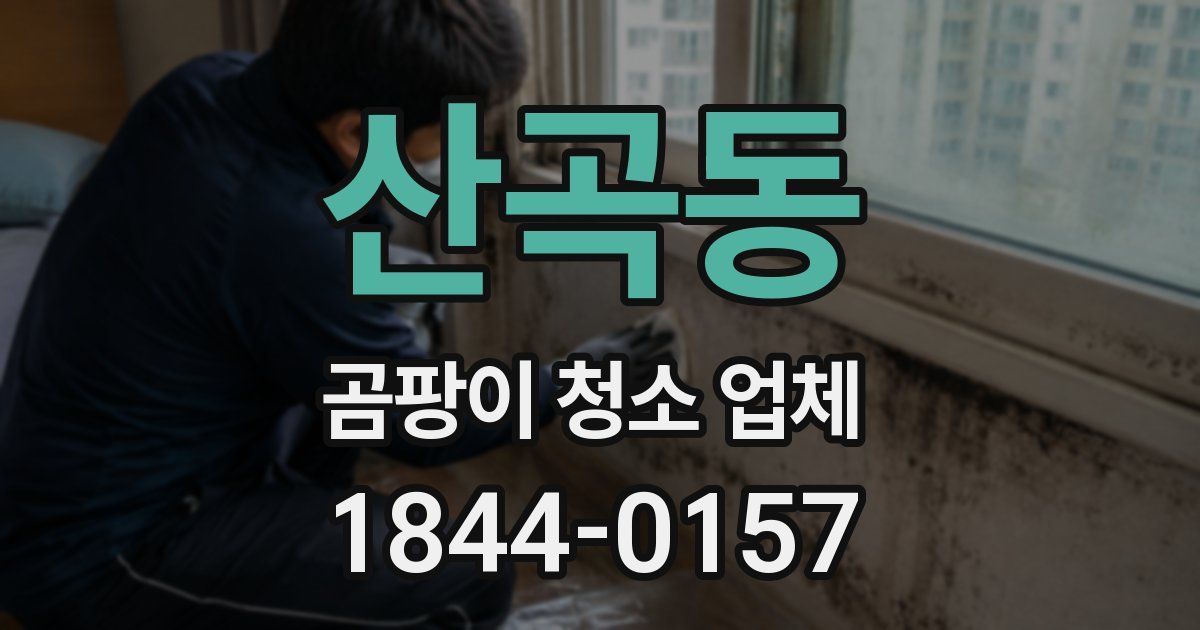 산곡동 곰팡이 청소 업체