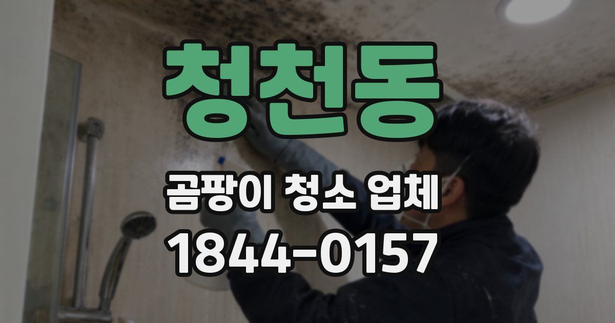 청천동 곰팡이 청소 업체