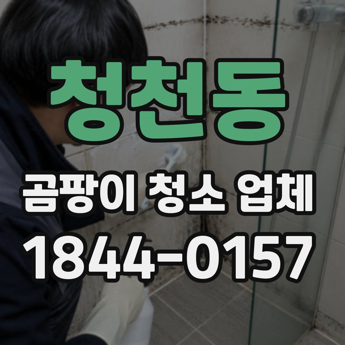 청천동 곰팡이 청소 업체