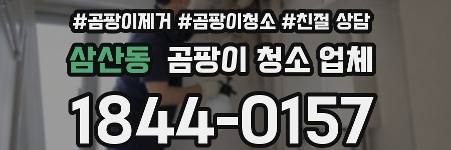 삼산동 곰팡이 청소 업체
