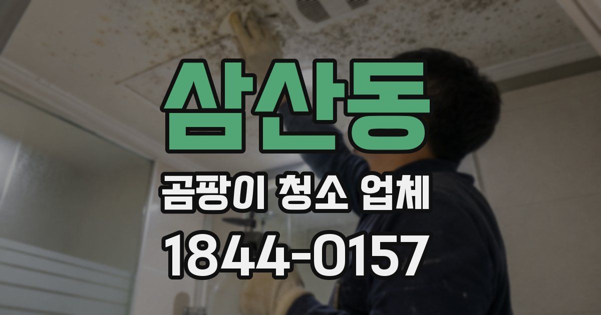 삼산동 곰팡이 청소 업체