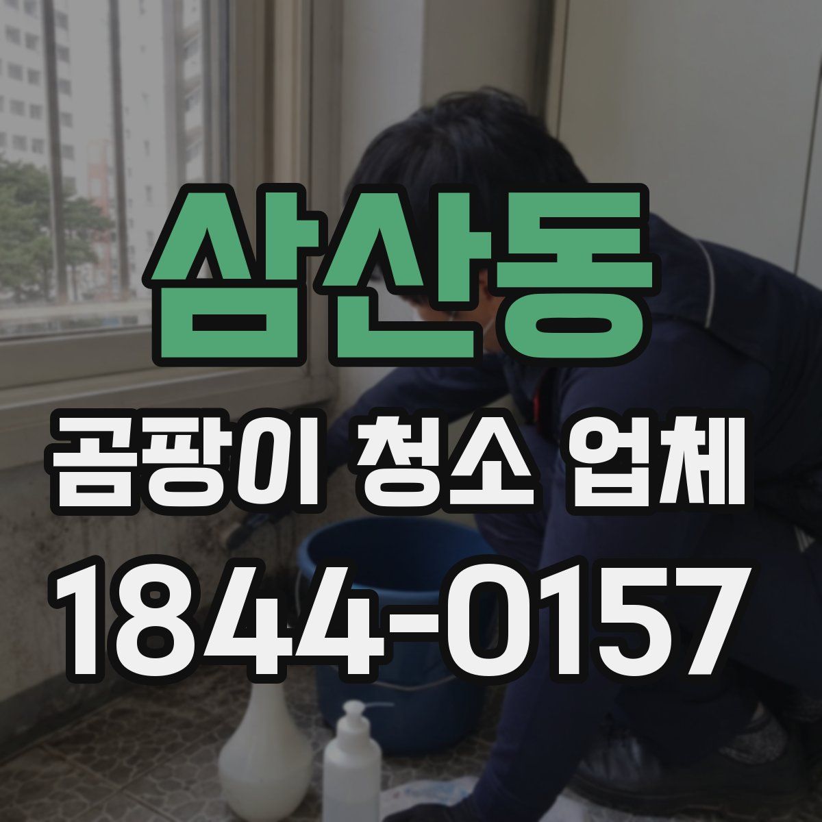 삼산동 곰팡이 청소 업체