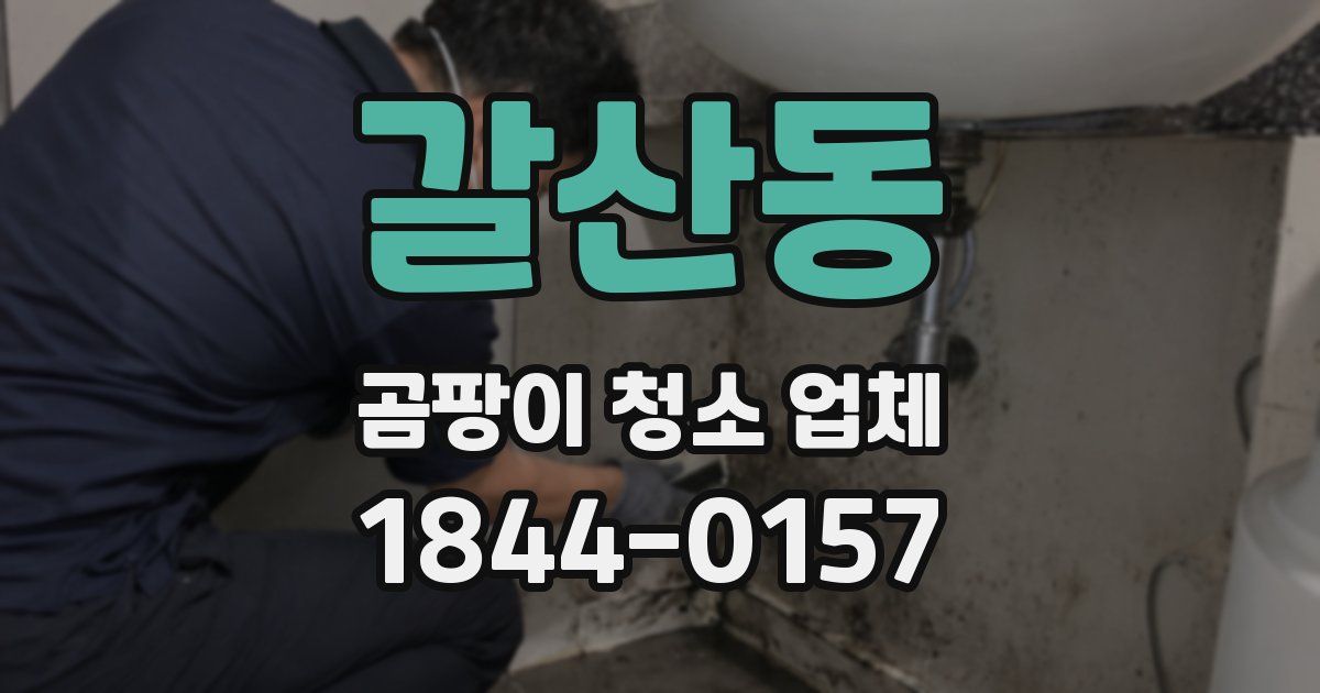 갈산동 곰팡이 청소 업체